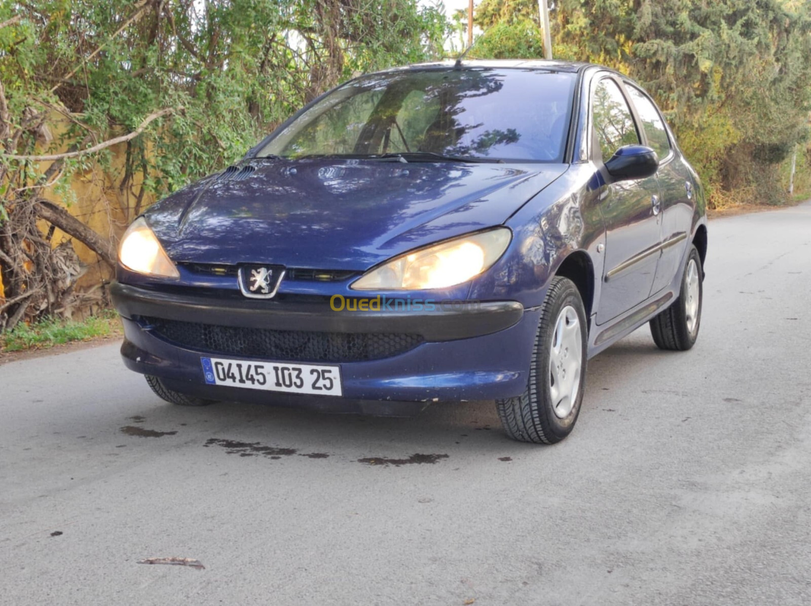 Peugeot 206 2003 206