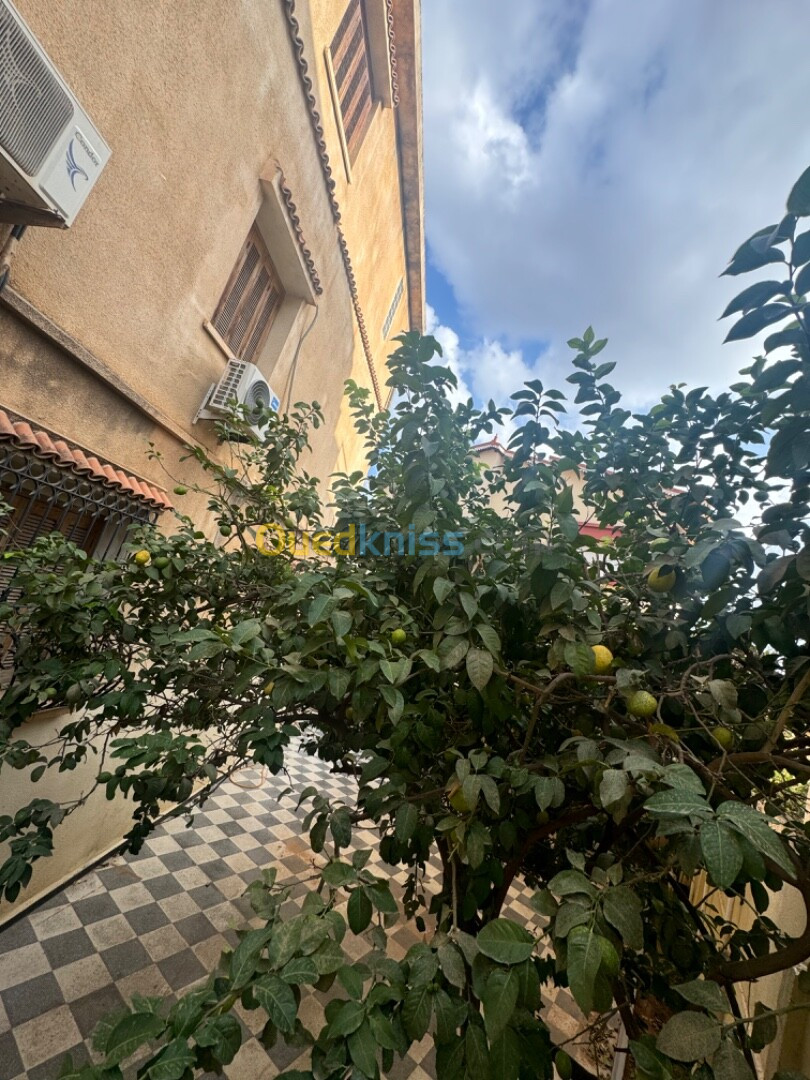 Vente Villa Alger Kouba