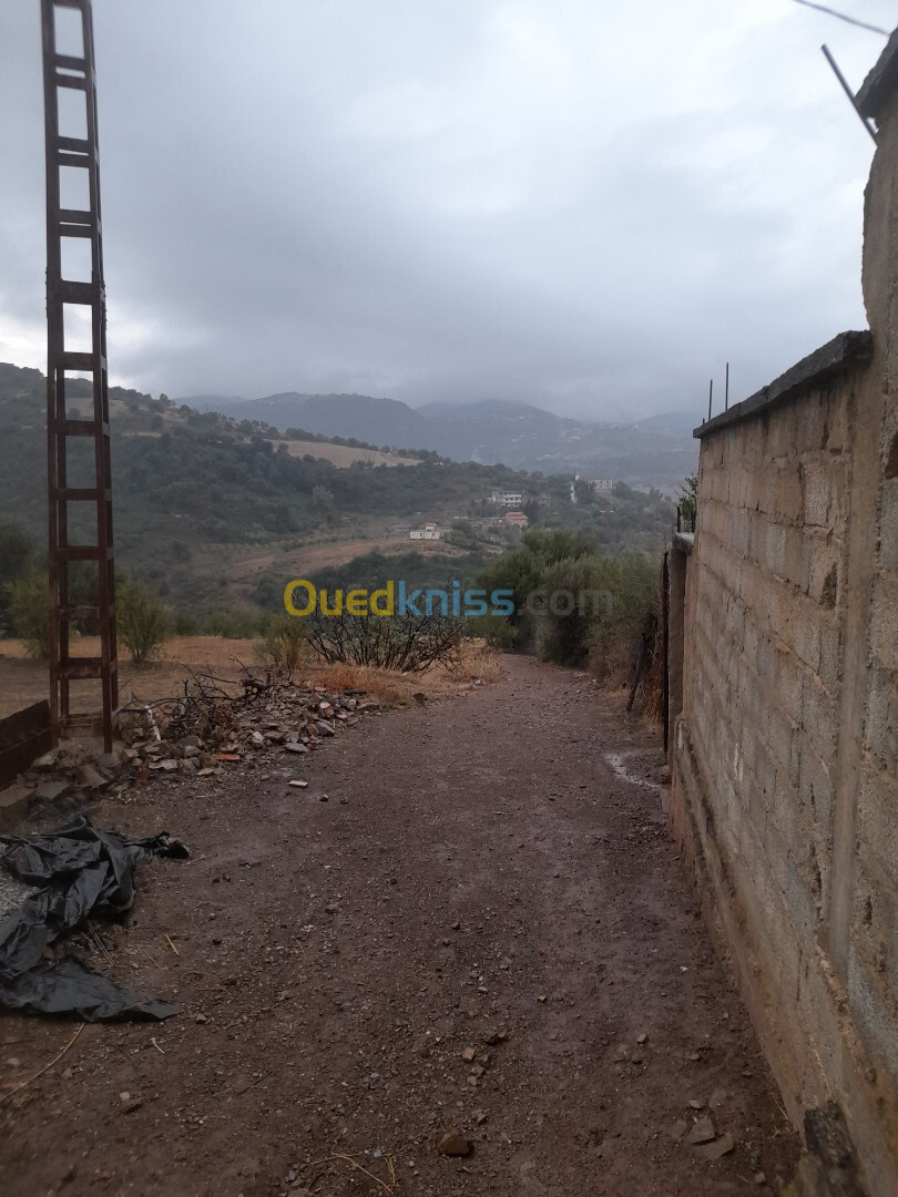 Vente Terrain Tizi Ouzou Tizi ghenif