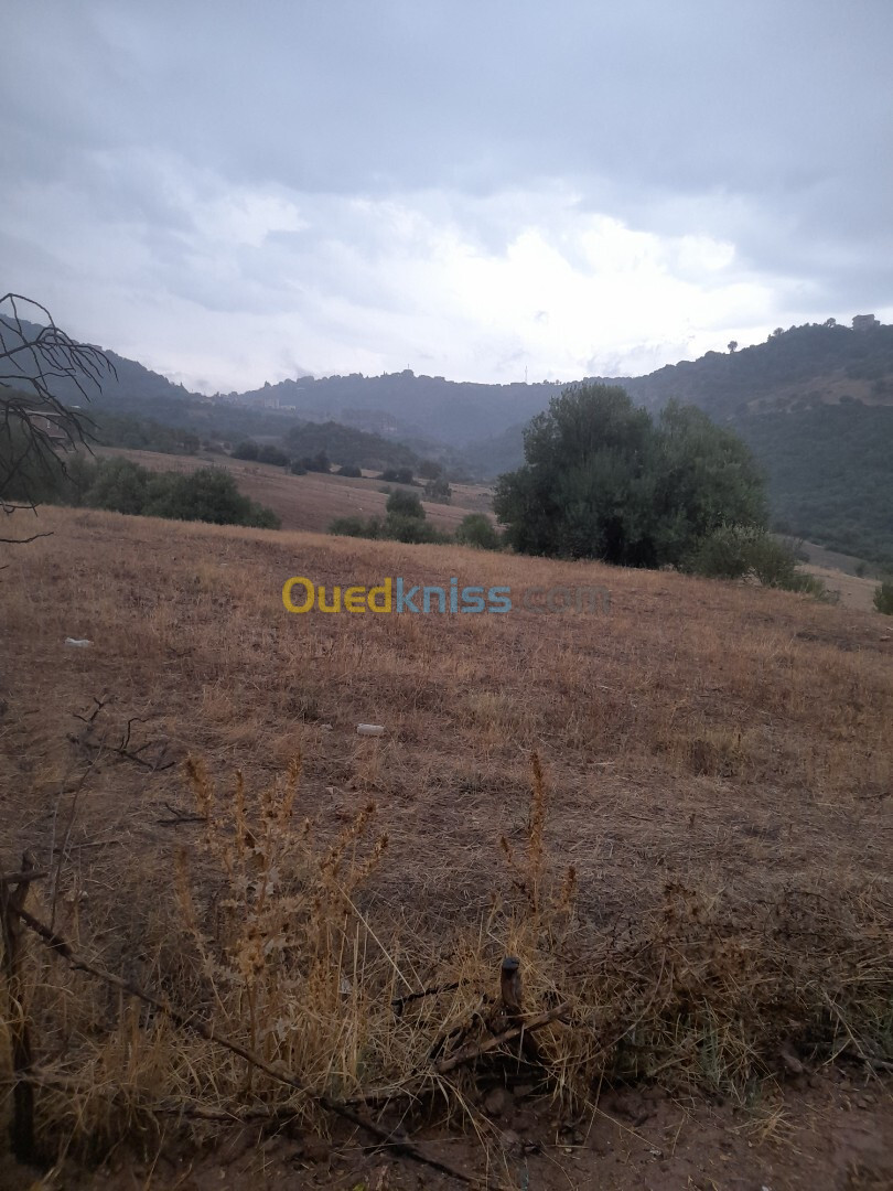 Vente Terrain Tizi Ouzou Tizi ghenif