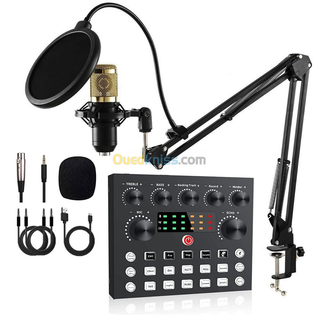 Kits de Microphone BM800 avec Carte Son en Direct, Bras de Suspension en Ciseaux, Filtre Anti-Pop