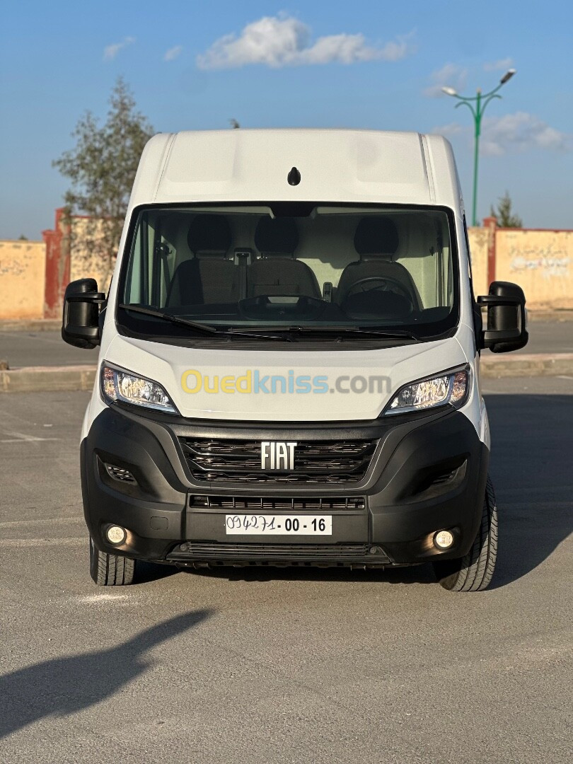 Fiat Ducato 2024 Progression