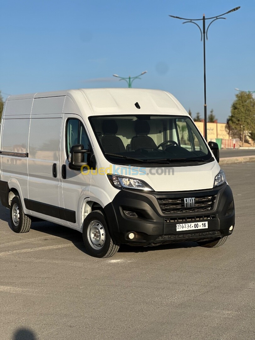 Fiat Ducato 2024 Progression