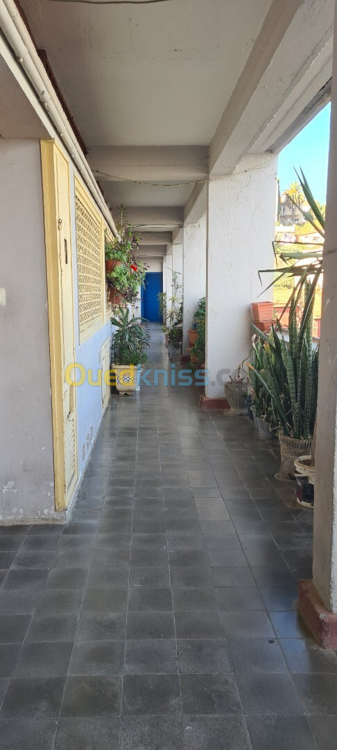 Vente Duplex F3 Alger Alger centre