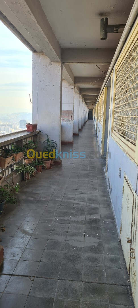 Vente Duplex F3 Alger Alger centre