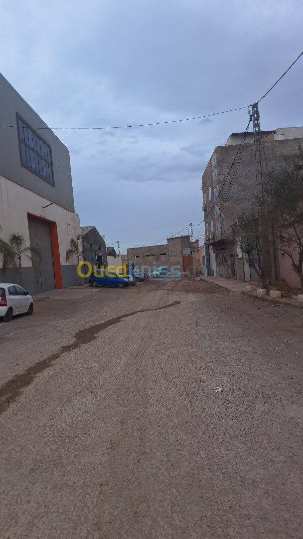 Vente Terrain Oran Bir el djir