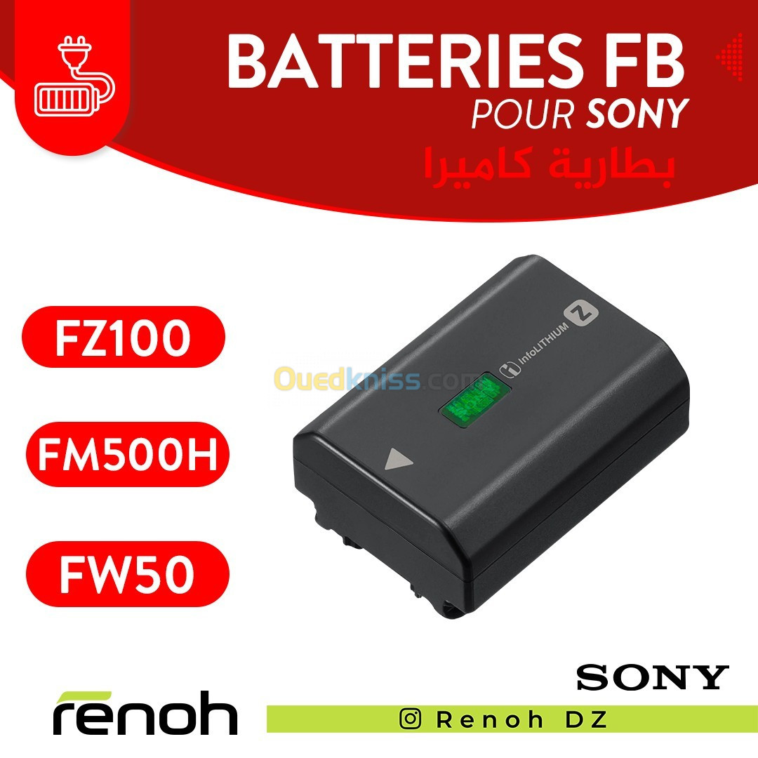 Batterie FB pour sony