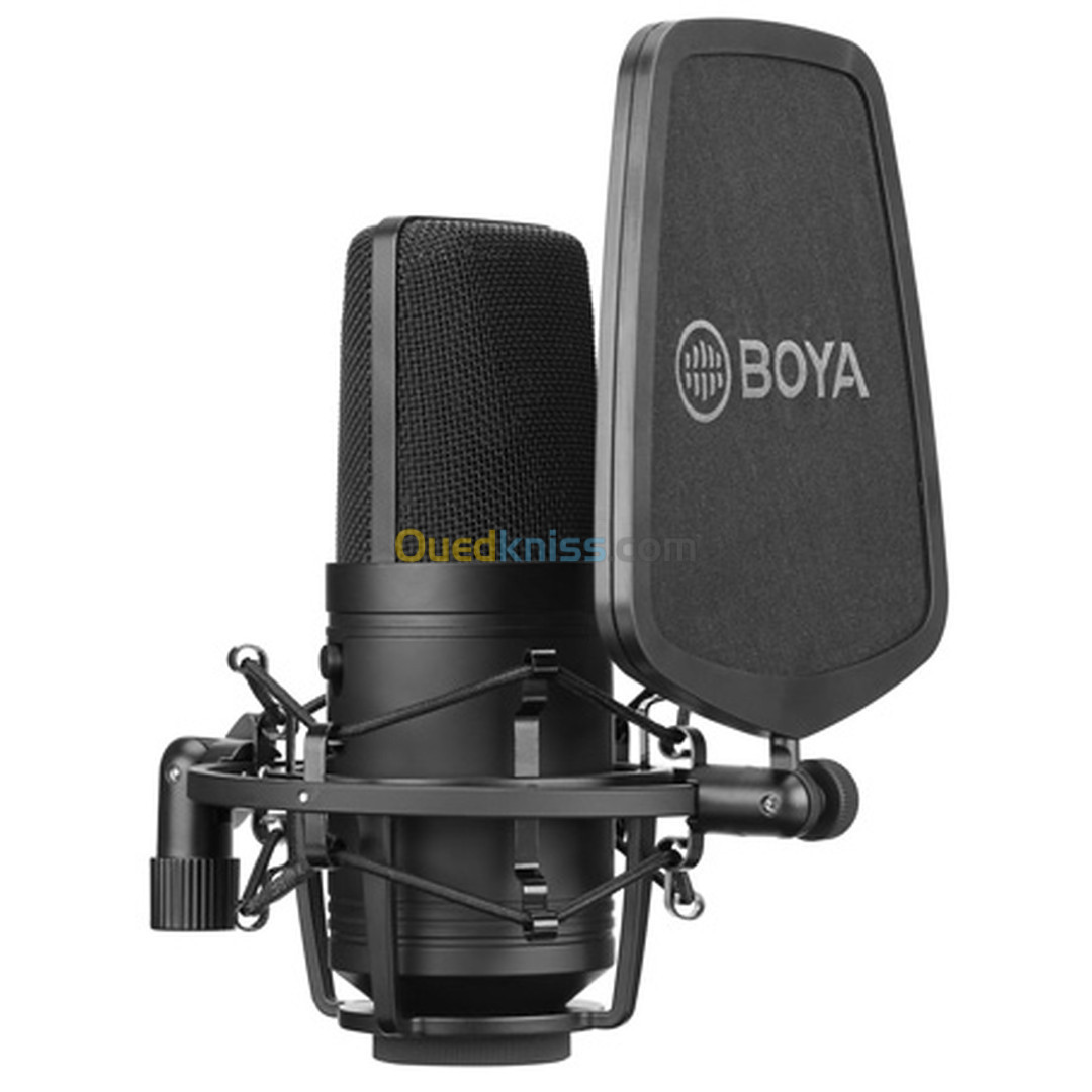 BOYA – Microphone professionnel à Large diaphragme BY-M800