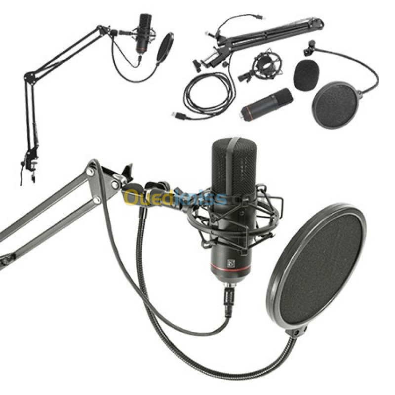 Microphone Professional BST STM300 PLUS Kit