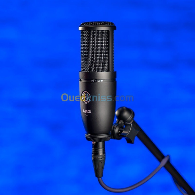 Microphone Studio AKG P120