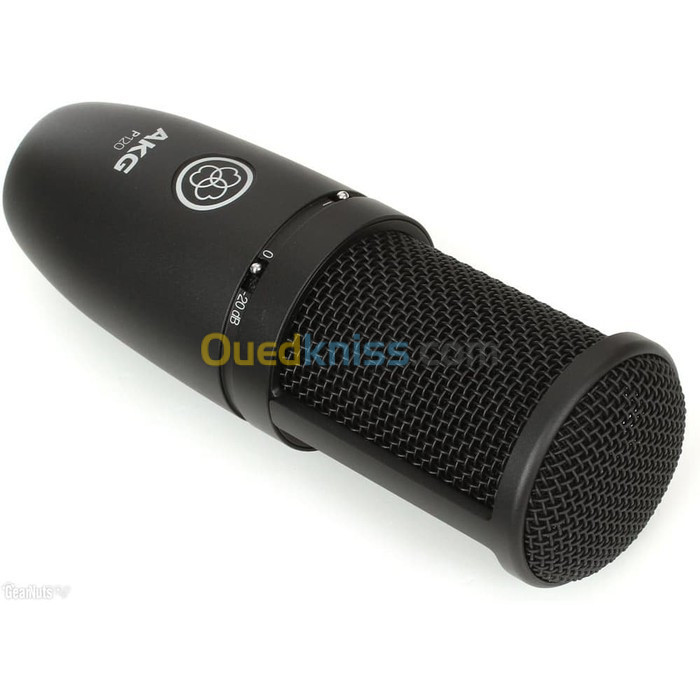 Microphone Studio AKG P120