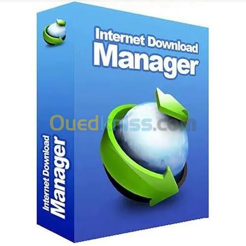 Internet download manager