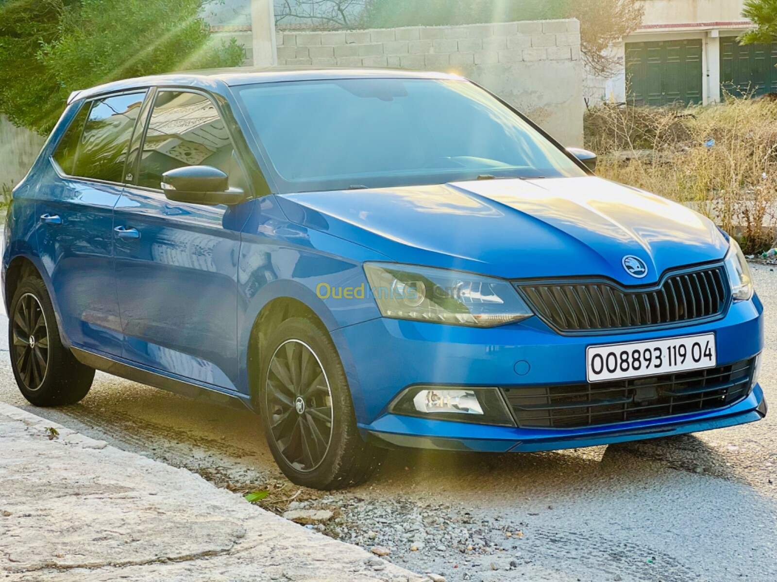 Skoda Fabia 2019 Monte Carlo