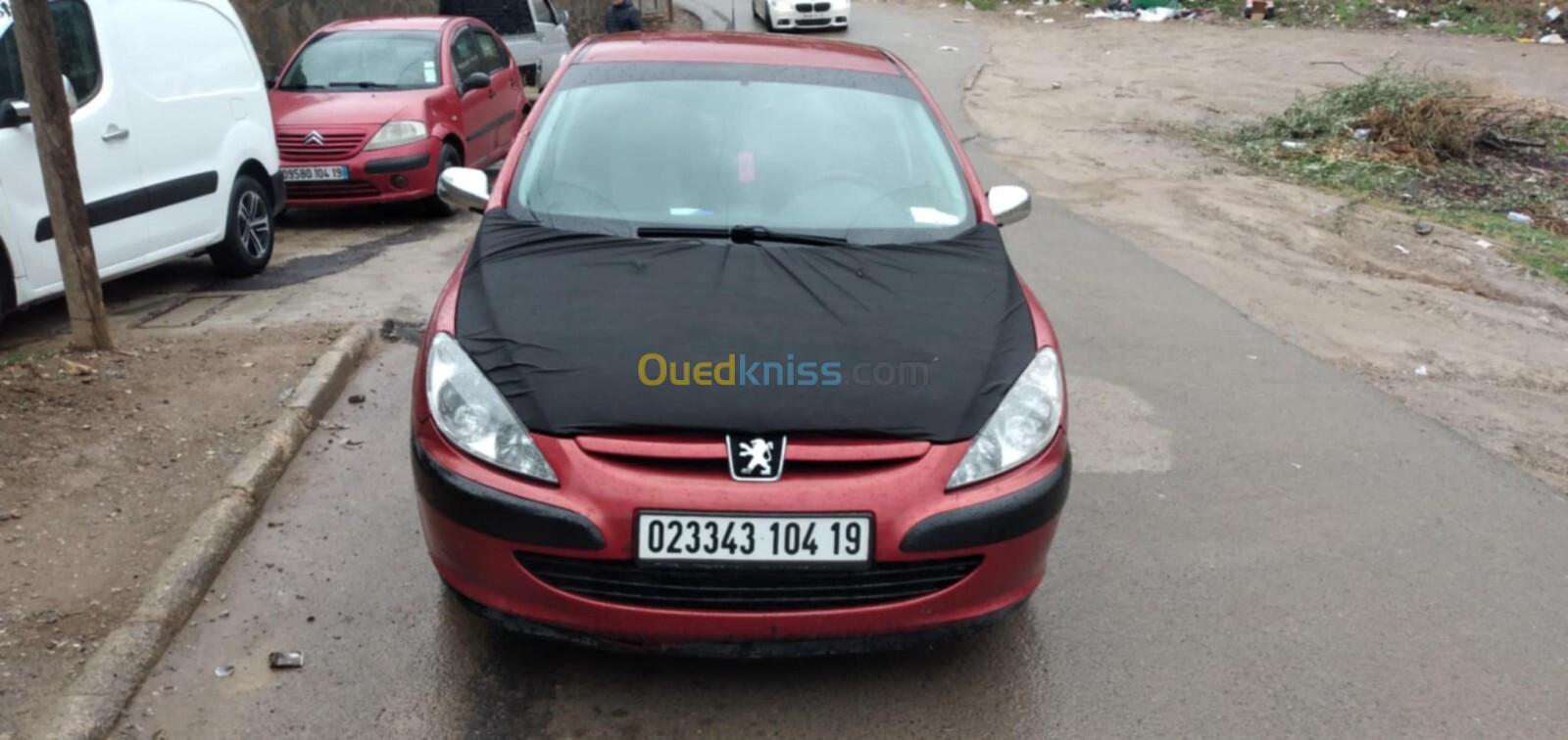 Peugeot 307 2004 307