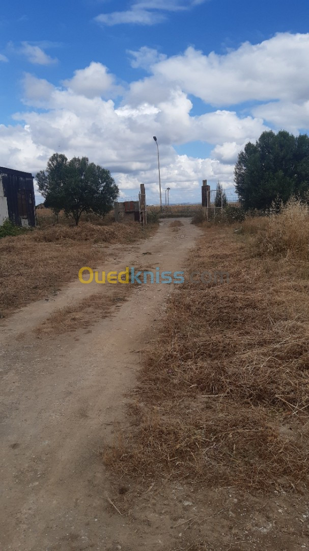 Vente Terrain Agricole Annaba Cheurfa