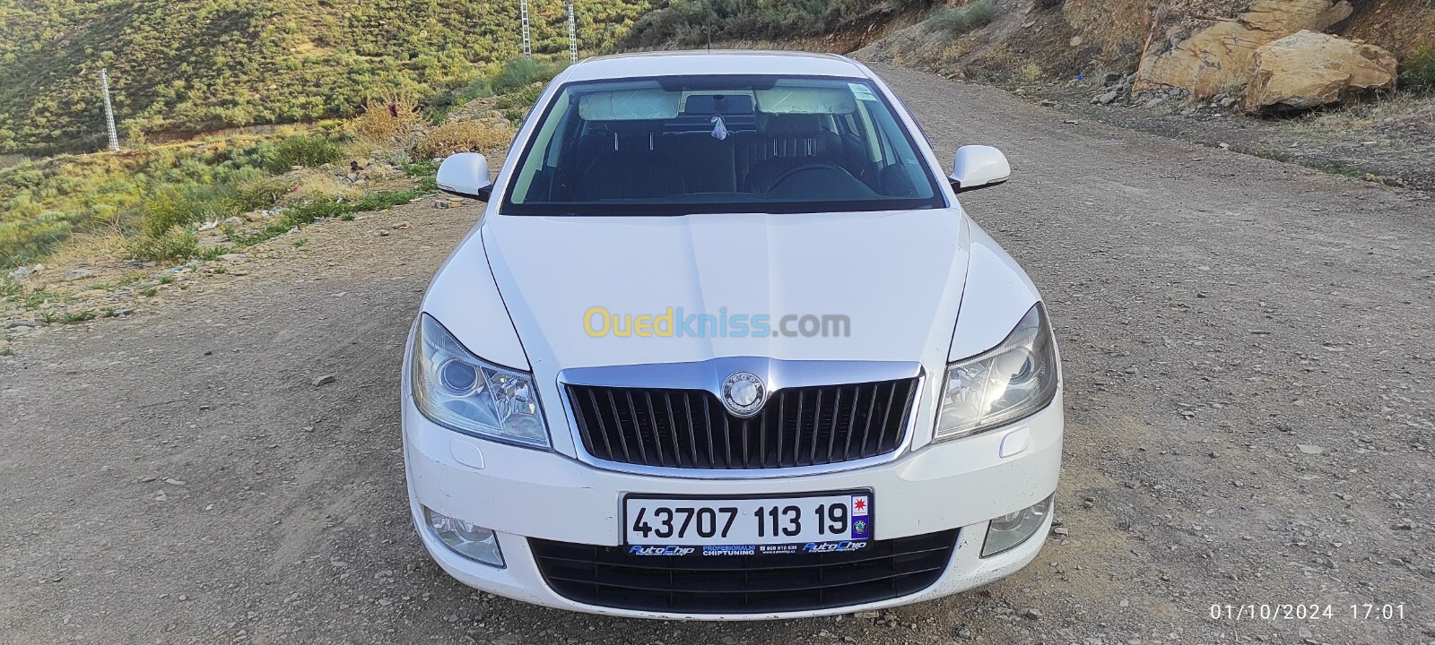 Skoda Octavia 2013 Elegance