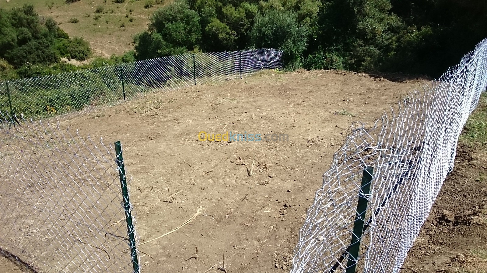 Vente Terrain Tipaza Cherchell