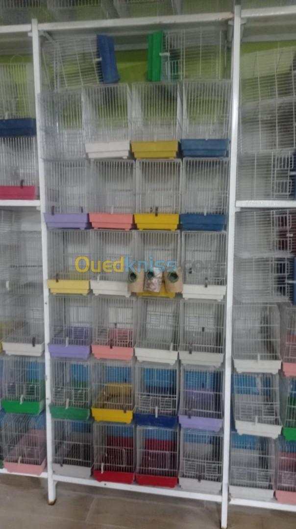 Cage et accessoires oiseaux 