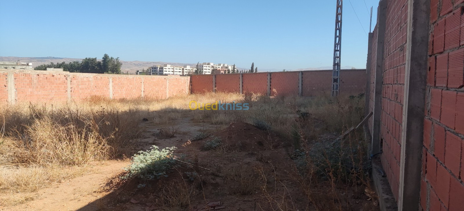 Location Terrain Chlef Chlef