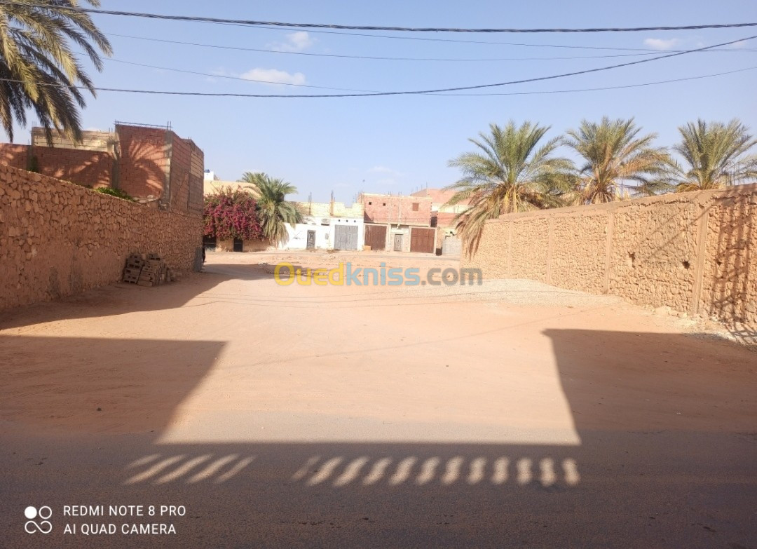 Vente Terrain Ghardaïa Zelfana