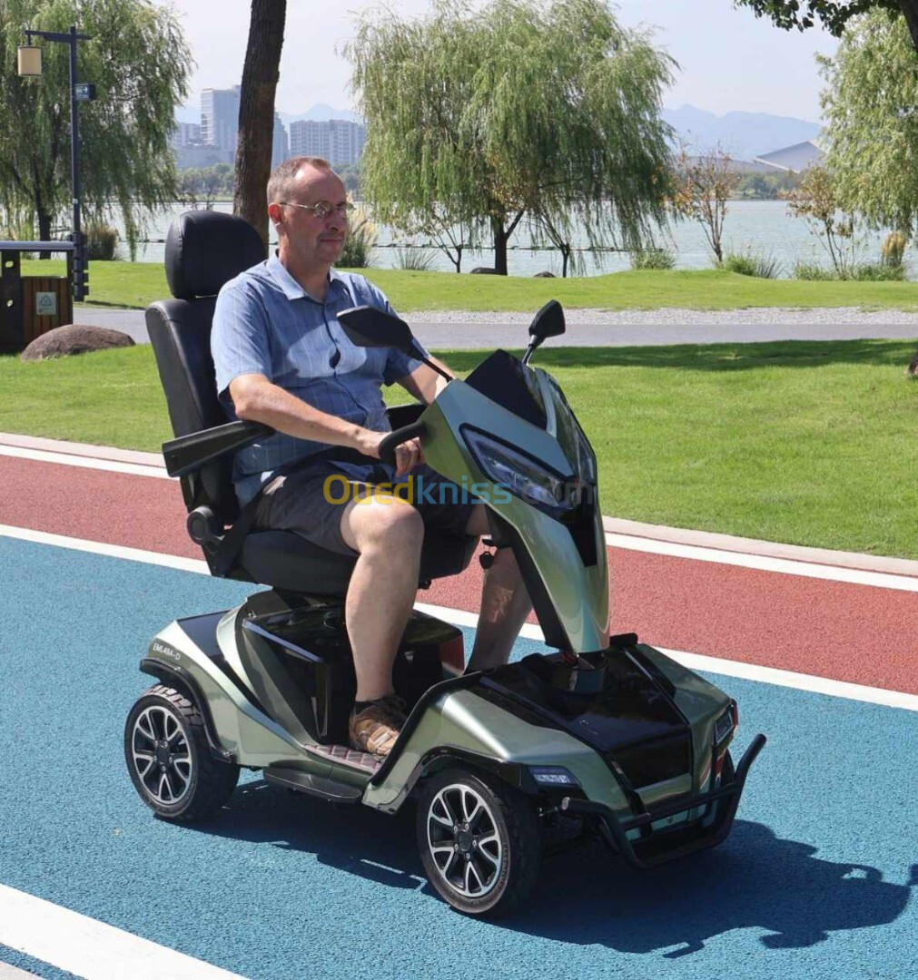 Fauteuil roul Scooter Mobilité électrique pour personnes âgées ou handicapés de Luxe _Elder EML49A-D