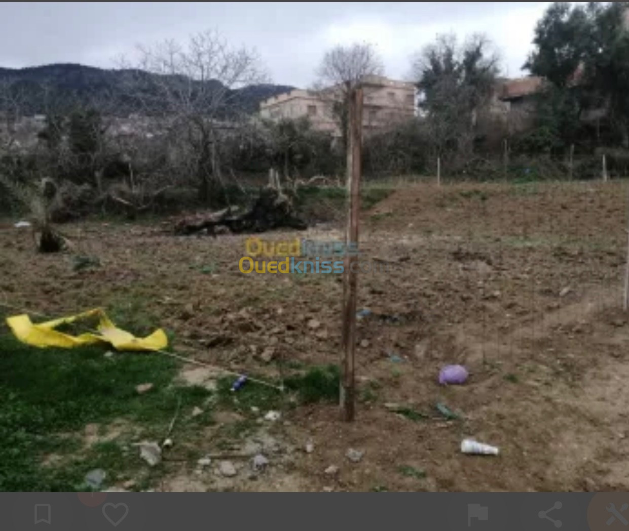 Vente Terrain Tlemcen Chetouane