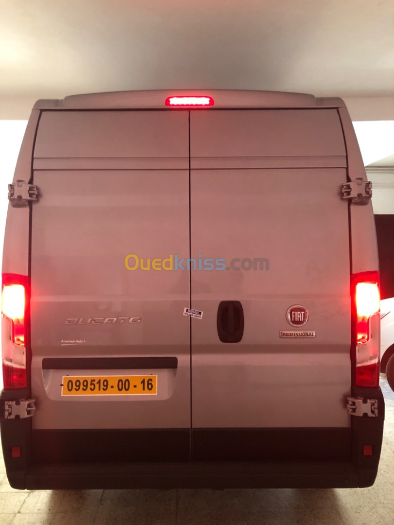 Fiat Professional Ducato 2024 Double v