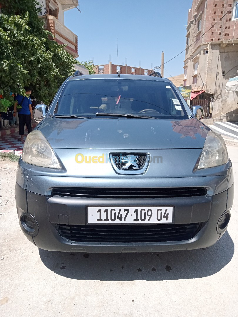 Peugeot Partner 2009 Tepee