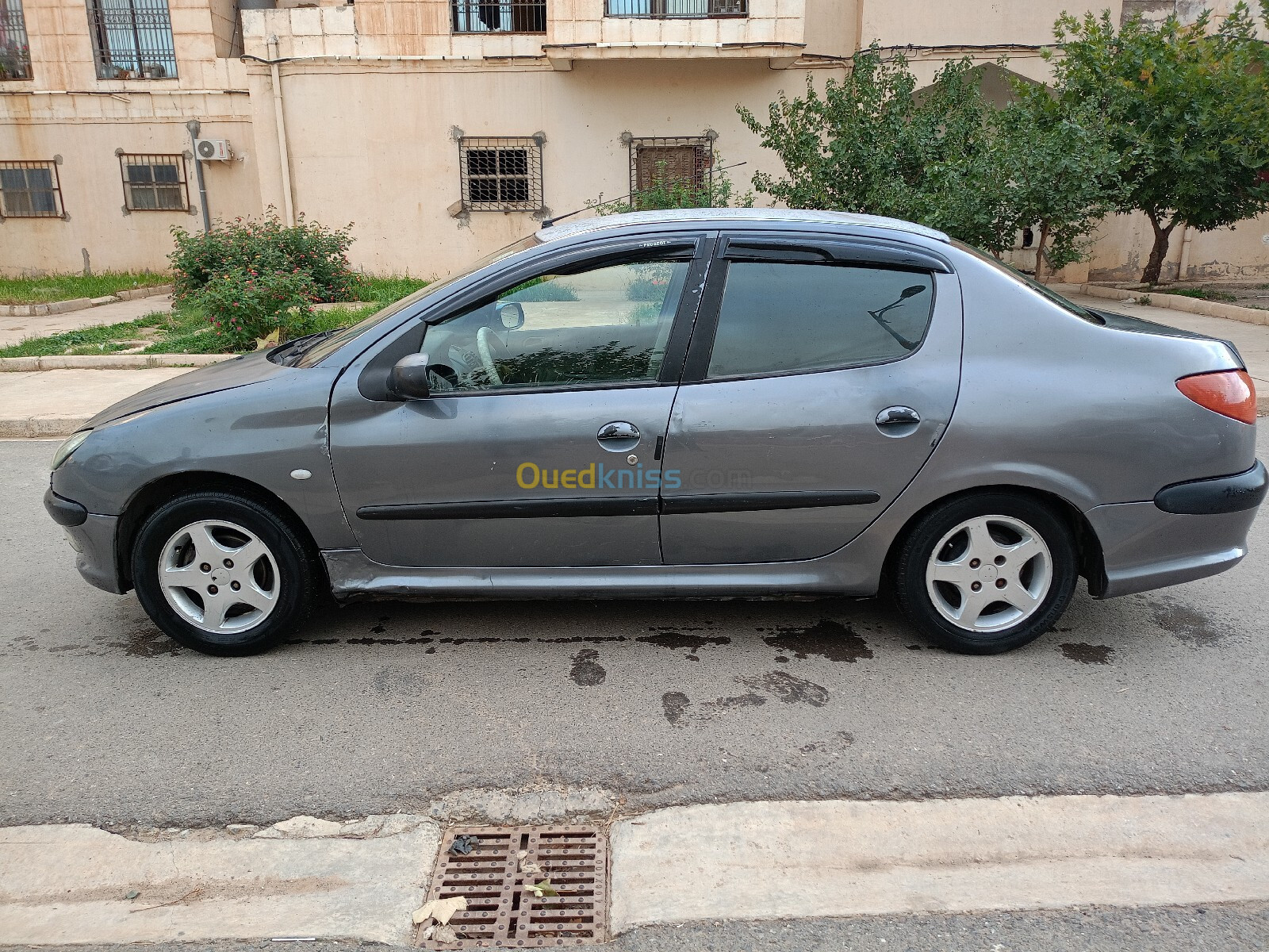 Peugeot 206 Sedan 2009 206 Sedan