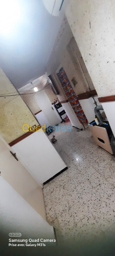 Vente Appartement F3 Alger Les eucalyptus