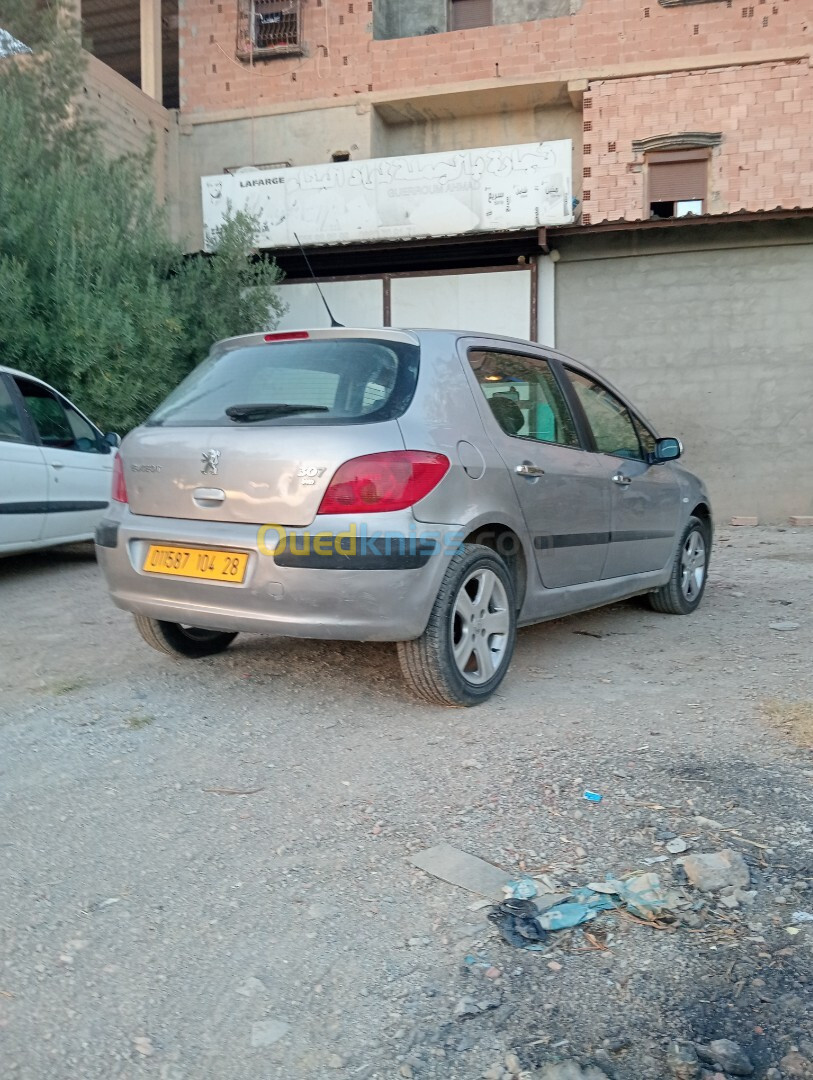 Peugeot 307 2004 307