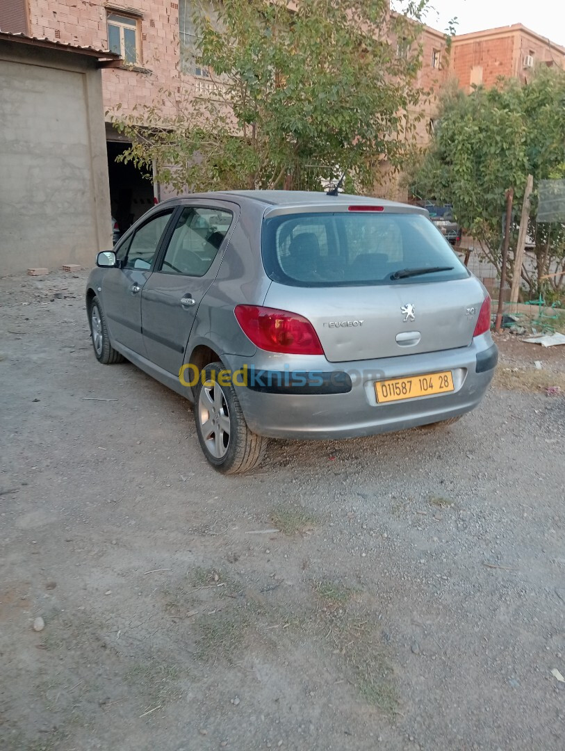 Peugeot 307 2004 307