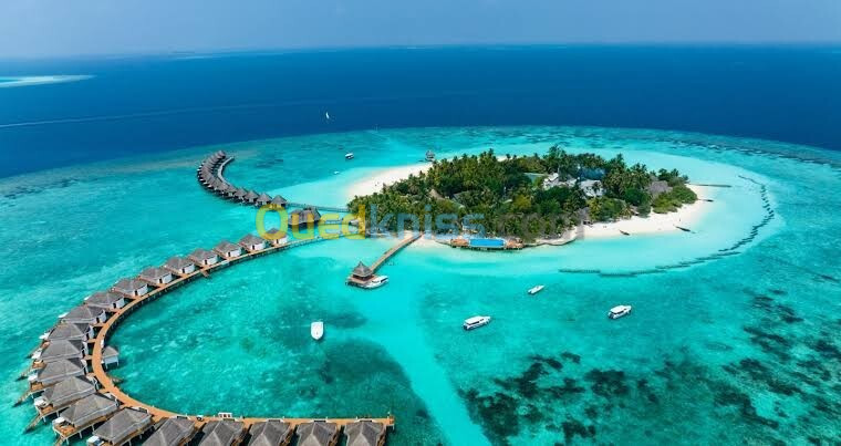 Maldives Maldives مالديف