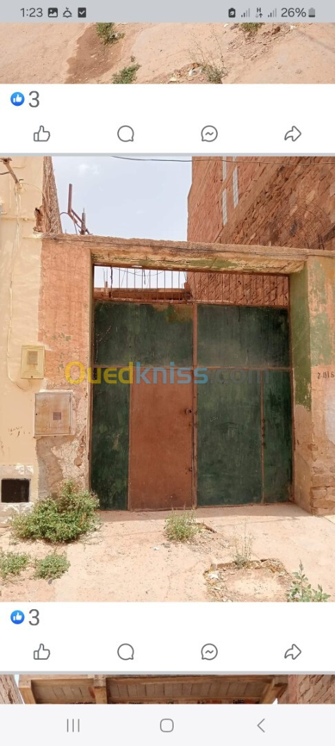 Vente Appartement F3 Saïda Saida