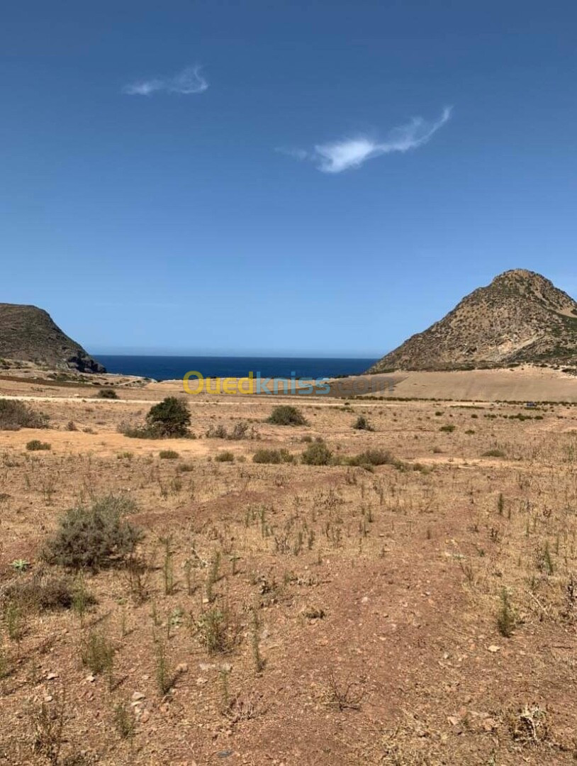 Vente Terrain Oran Ain el kerma