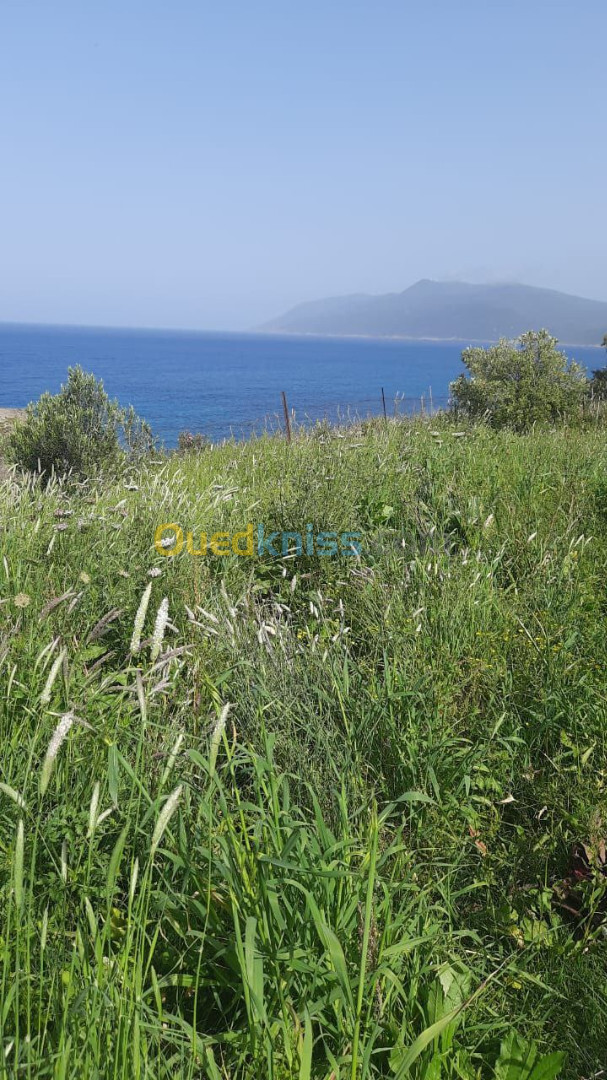 Vente Terrain Annaba Chetaibi