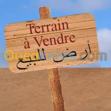 Vente Terrain Alger El madania