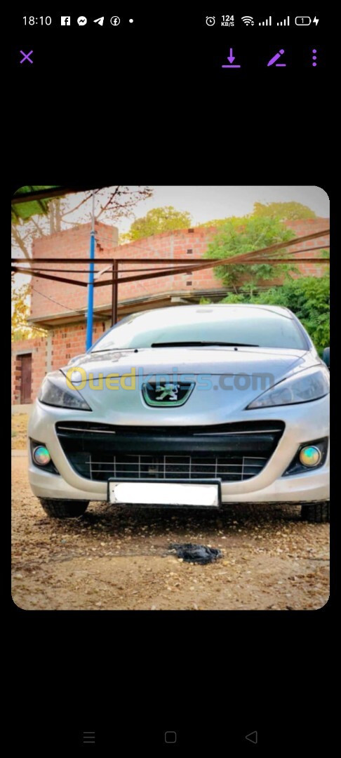 Peugeot 207 2011 Fennec