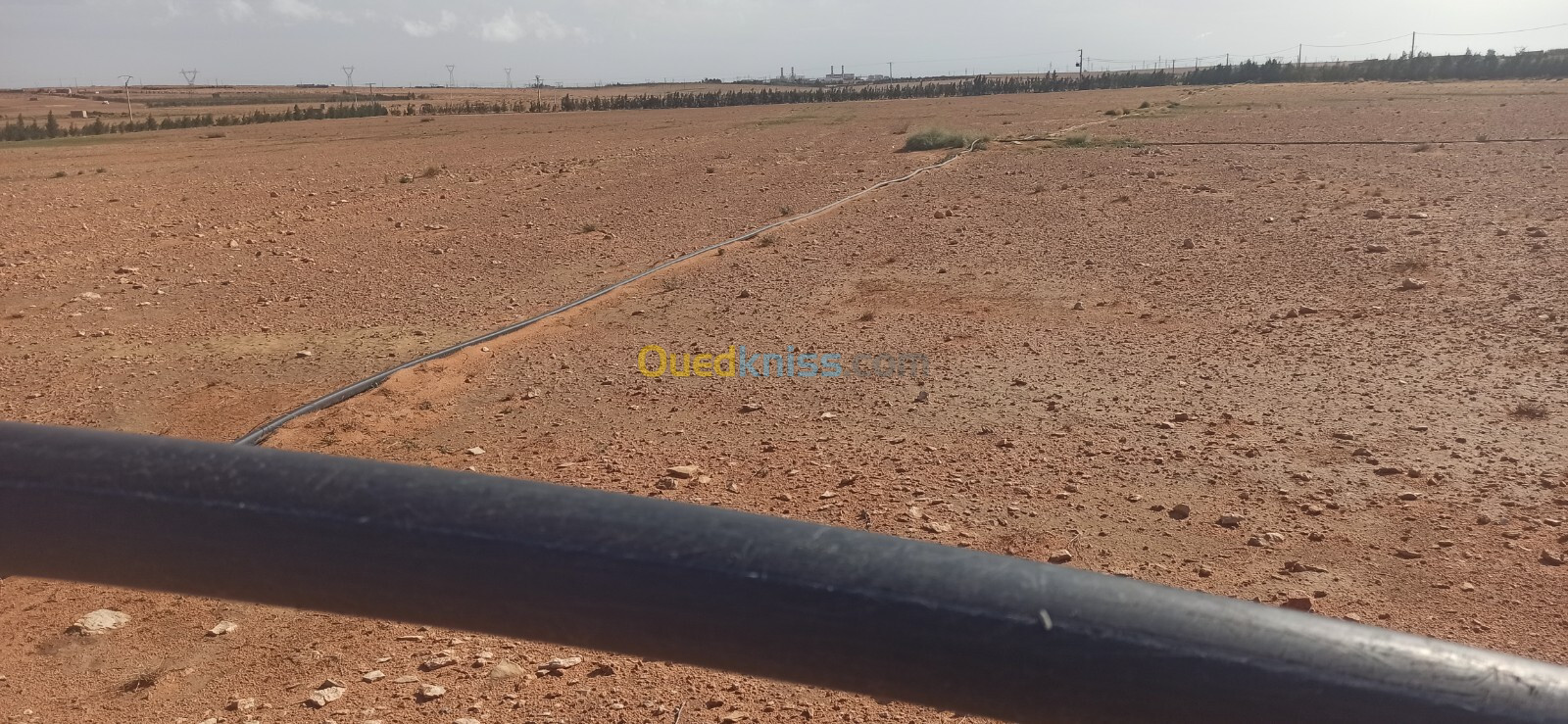 Vente Terrain Agricole Djelfa Ain oussara