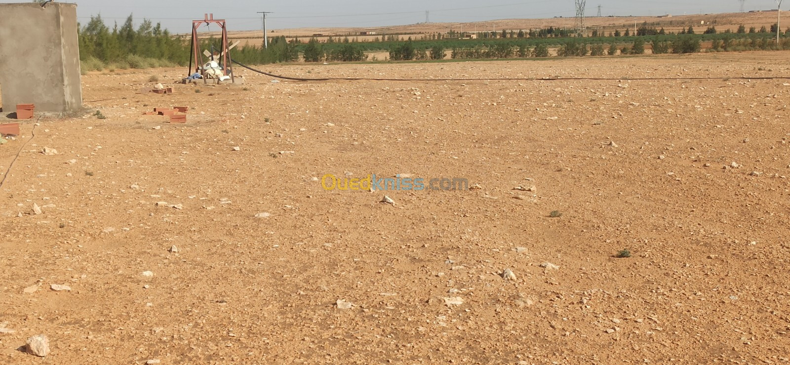 Vente Terrain Agricole Djelfa Ain oussara