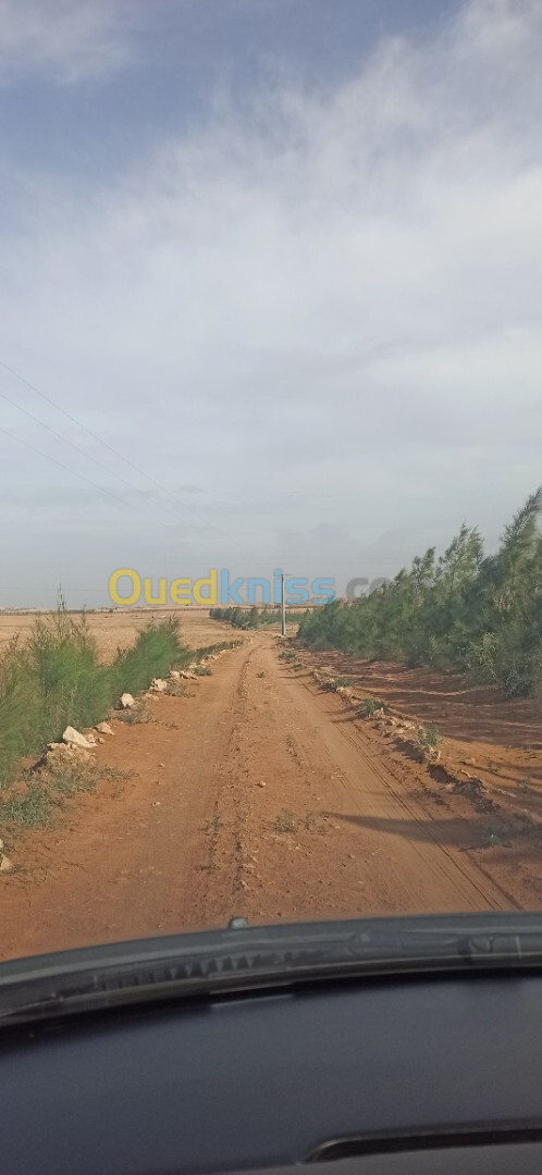 Vente Terrain Agricole Djelfa Ain oussara