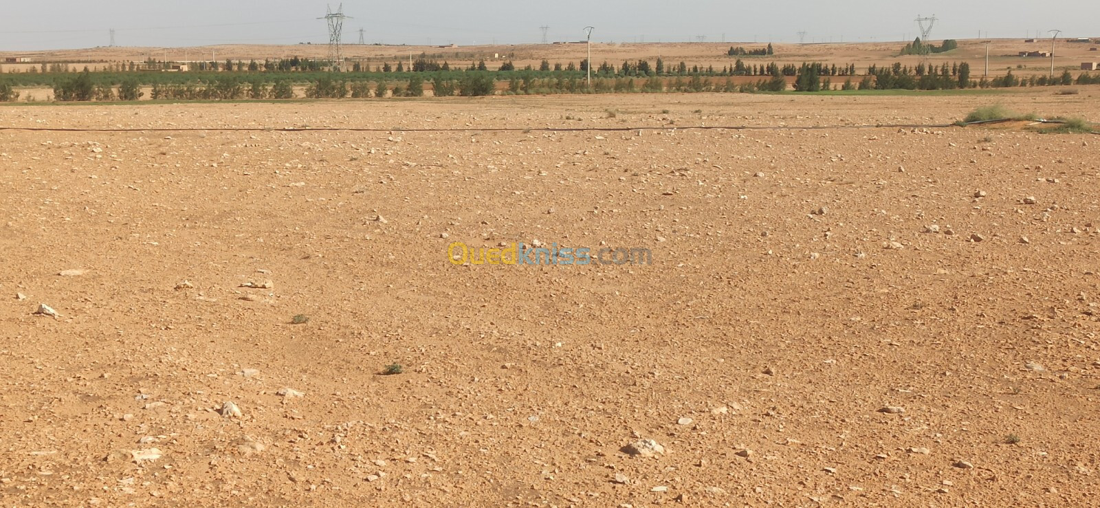 Vente Terrain Agricole Djelfa Ain oussara