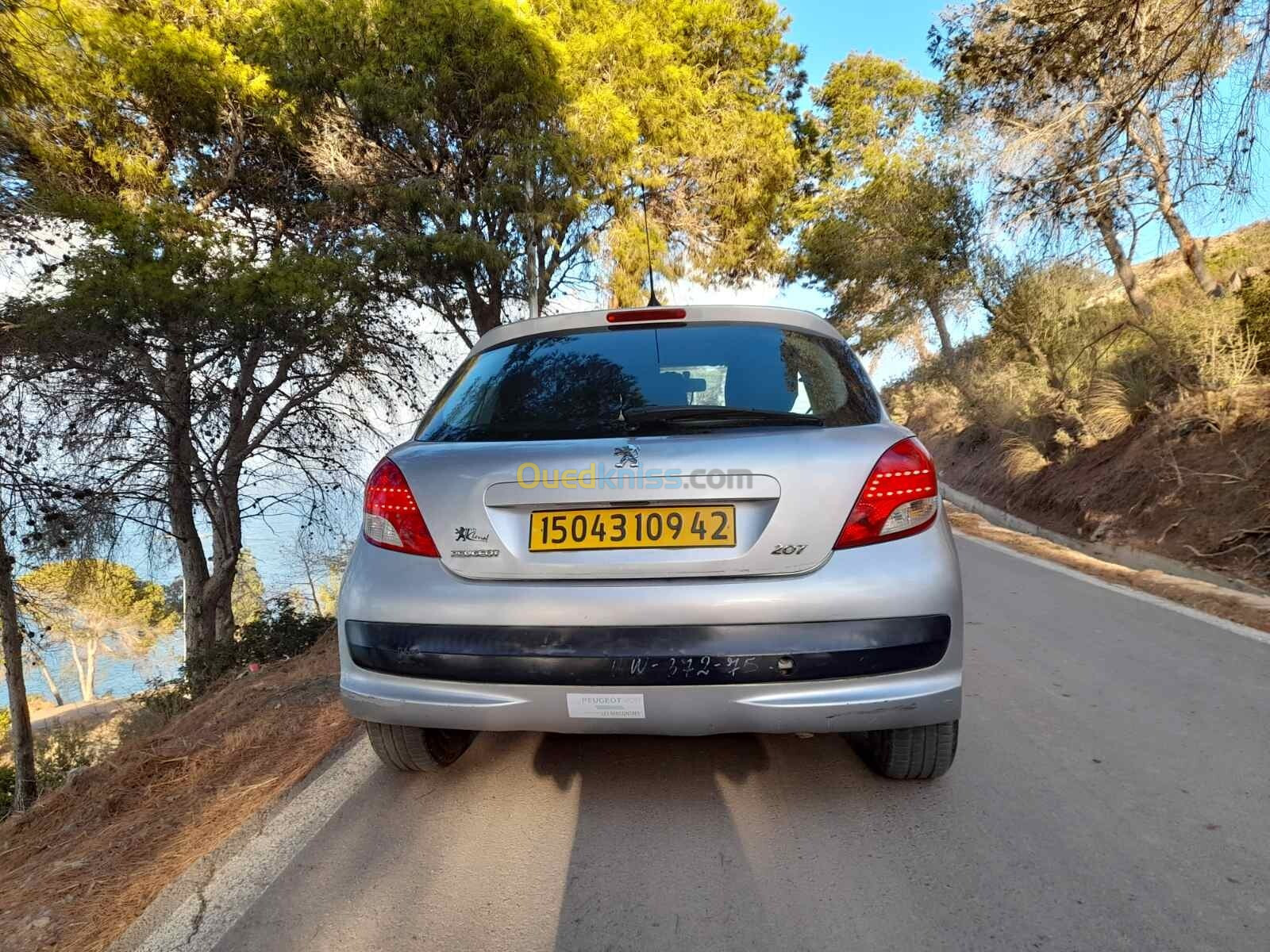 Peugeot 207 2009 Premium