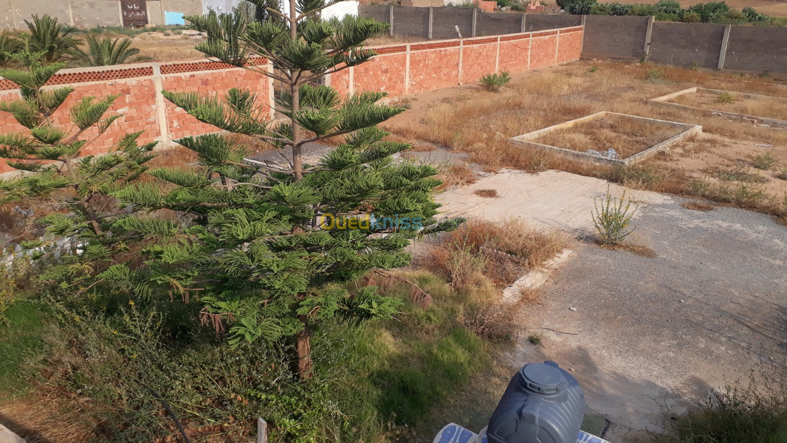 Vente Niveau De Villa F4 Oran Oued tlelat