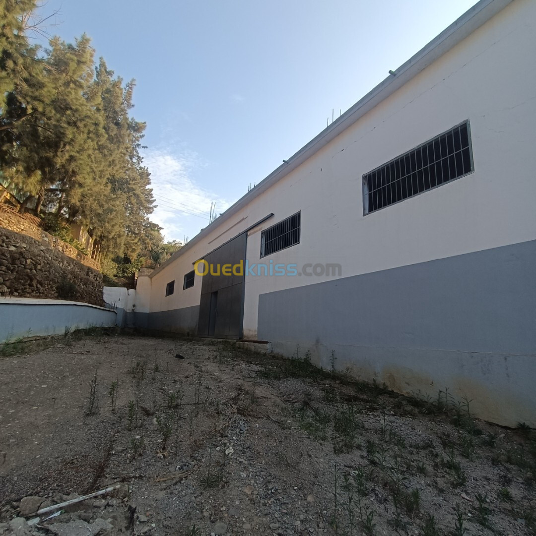 Location Hangar Boumerdès Tidjelabine