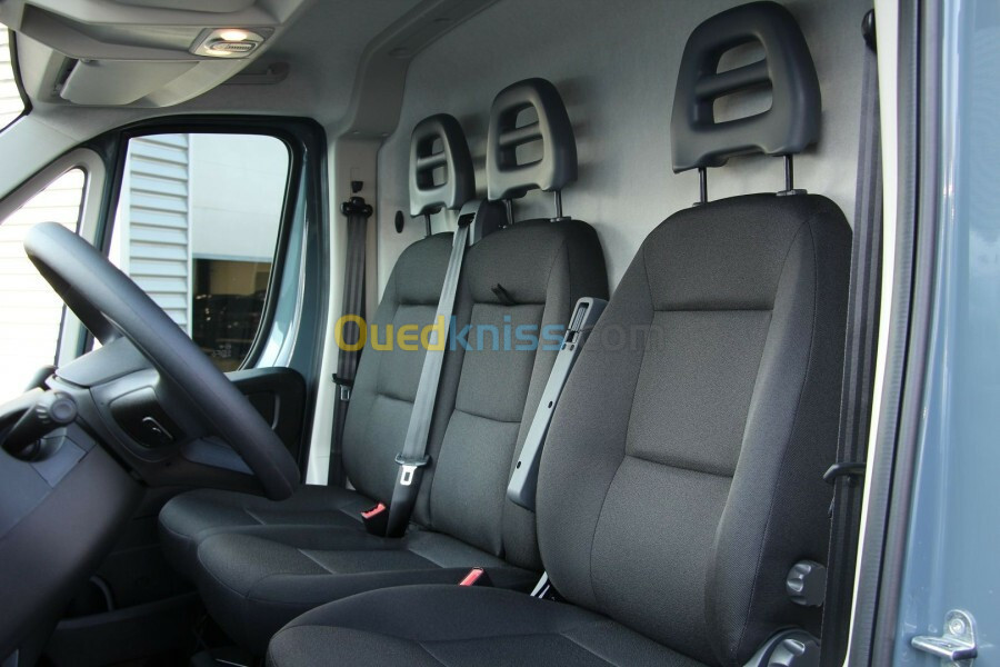 Fiat Professional Ducato 2023 2 panoux