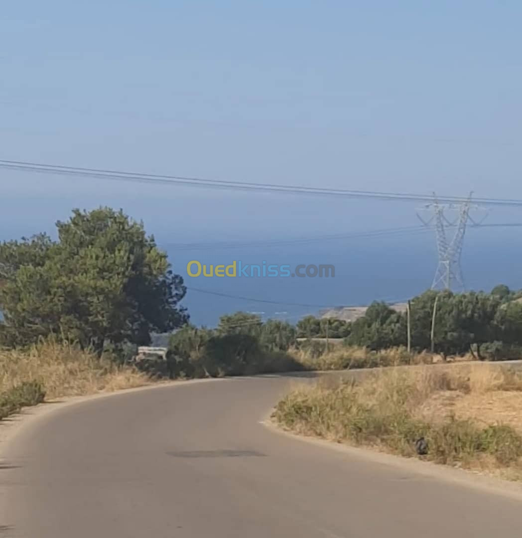 Vente Terrain Tipaza Sidi ghiles