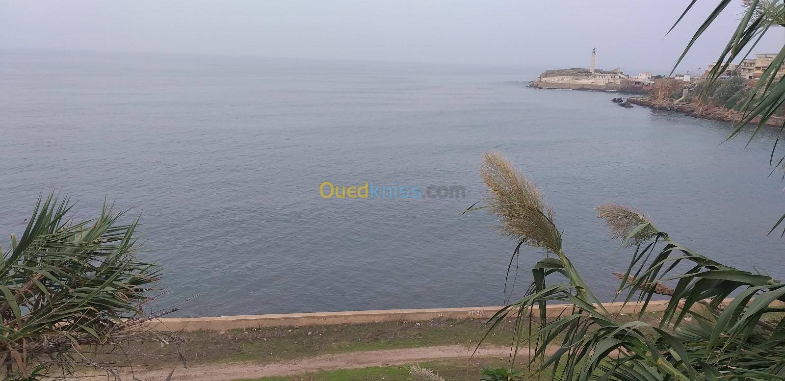 Vente Villa Tipaza Cherchell