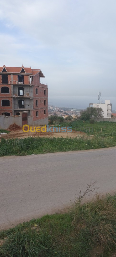 Vente Terrain Tipaza Cherchell