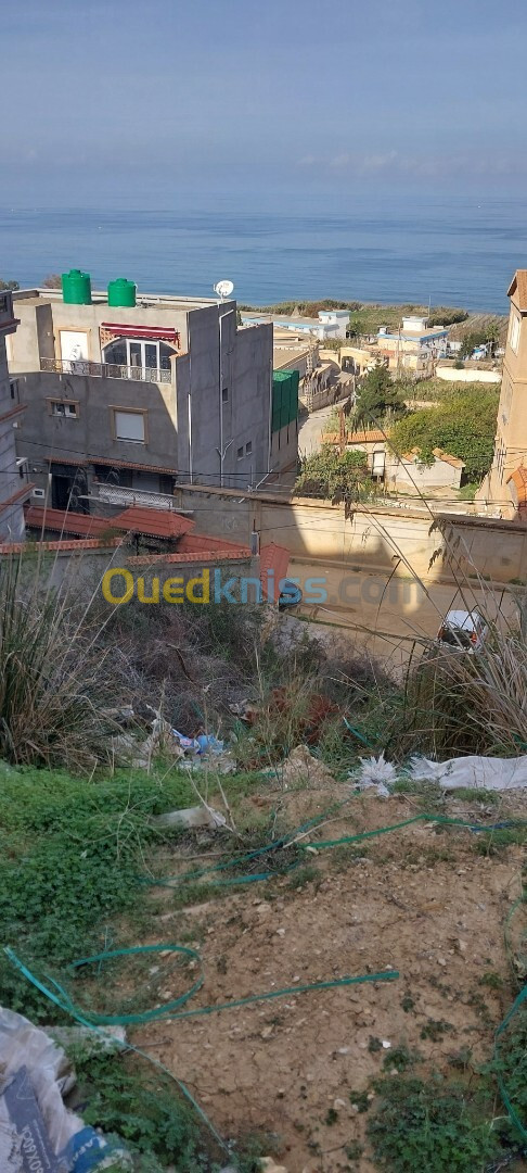 Vente Terrain Tipaza Cherchell